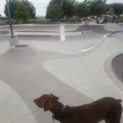 Lafayette Skate Park - Lafayette