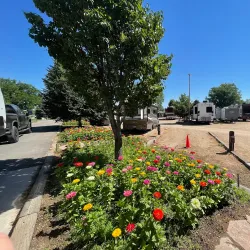 Boulder County Fairgrounds - Longmont