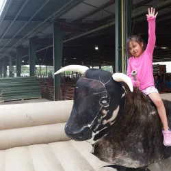 Boulder County Fairgrounds - Longmont