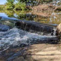 Golden Ponds Park - Longmont