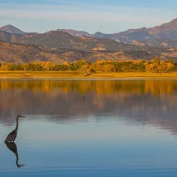 McIntosh Lake Park - Longmont