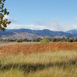 McIntosh Lake Park - Longmont