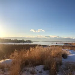 McIntosh Lake Park - Longmont