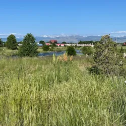 St. Vrain Greenway Trail - Longmont