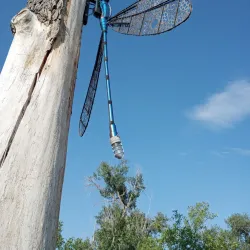 St. Vrain Greenway Trail - Longmont