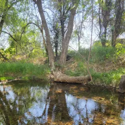 St. Vrain Greenway Trail - Longmont