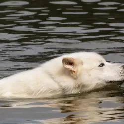 Union Reservoir - Longmont