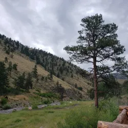 Big Thompson River Trail - Loveland