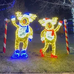 Chapungu Sculpture Park - Loveland