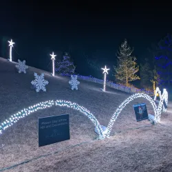 Chapungu Sculpture Park - Loveland