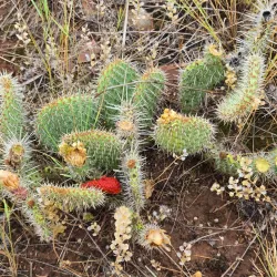 Devil's Backbone Open Space - Loveland