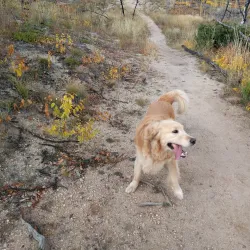 Black Forest Regional Park - Monument