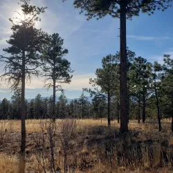 Black Forest Regional Park - Monument