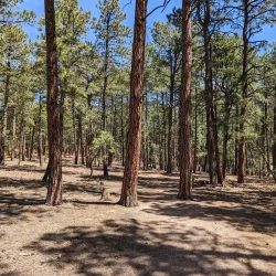 Fox Run Regional Park - Monument
