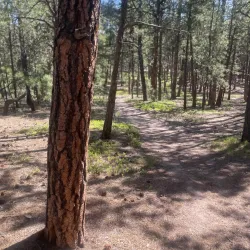 Fox Run Regional Park - Monument