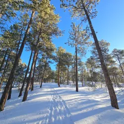 Fox Run Regional Park - Monument