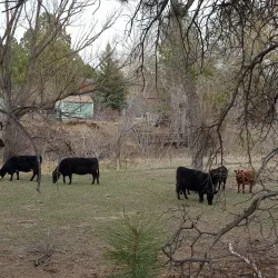 Santa Fe Trail - Monument
