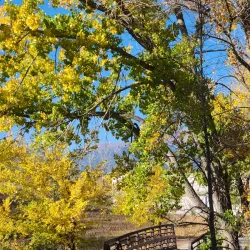 Santa Fe Trail - Monument