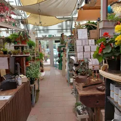 The Barn Antique Mall - Monument