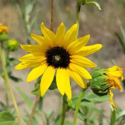 Cherry Creek State Park - Parker