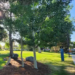 O'Brien Park and Recreation Center - Parker