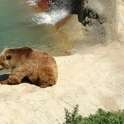 The Wildlife Experience - Parker