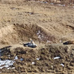 The Wildlife Experience - Parker