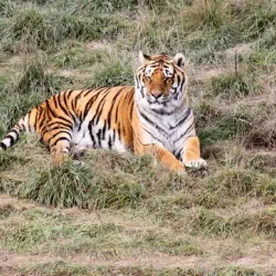 The Wildlife Experience - Parker