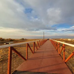 The Wildlife Experience - Parker