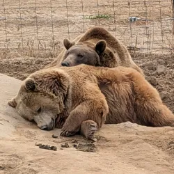 The Wildlife Experience - Parker