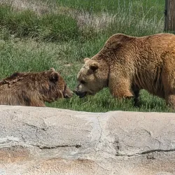 The Wildlife Experience - Parker