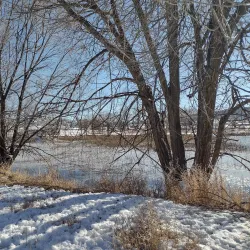 Colorado River - Silt