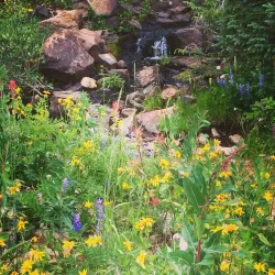 A vibrant street view in Steamboat Springs