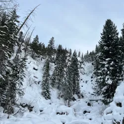 Fish Creek Falls - Steamboat Springs