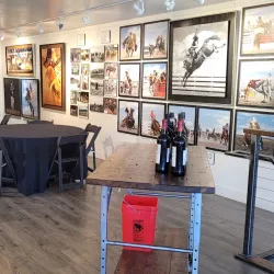 Steamboat Art Museum - Steamboat Springs