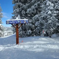 Steamboat Ski Resort - Steamboat Springs