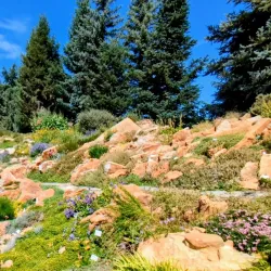 Yampa River Botanic Park - Steamboat Springs