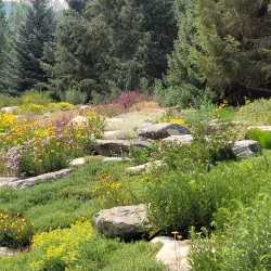 Yampa River Botanic Park - Steamboat Springs