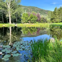 Yampa River Botanic Park - Steamboat Springs