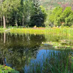 Yampa River Botanic Park - Steamboat Springs