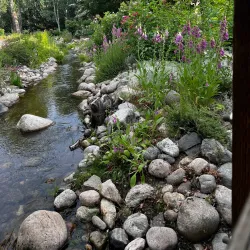 Yampa River Botanic Park - Steamboat Springs