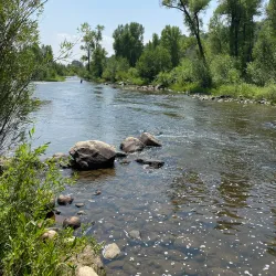 Yampa River Core Trail - Steamboat Springs