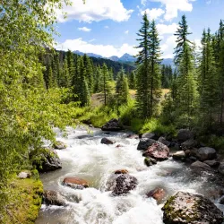 San Miguel River Trail - Telluride