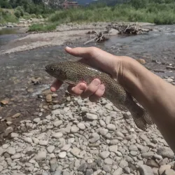 San Miguel River Trail - Telluride