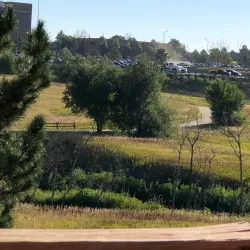 Niver Creek Park - Thornton