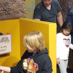 Thornton Veterans Memorial Park - Thornton