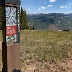 Adventure Ridge - Vail