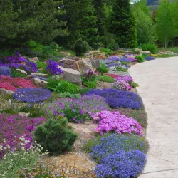 Betty Ford Alpine Gardens - Vail