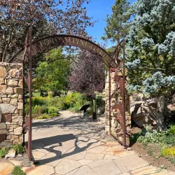 Betty Ford Alpine Gardens - Vail