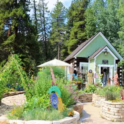 Betty Ford Alpine Gardens - Vail